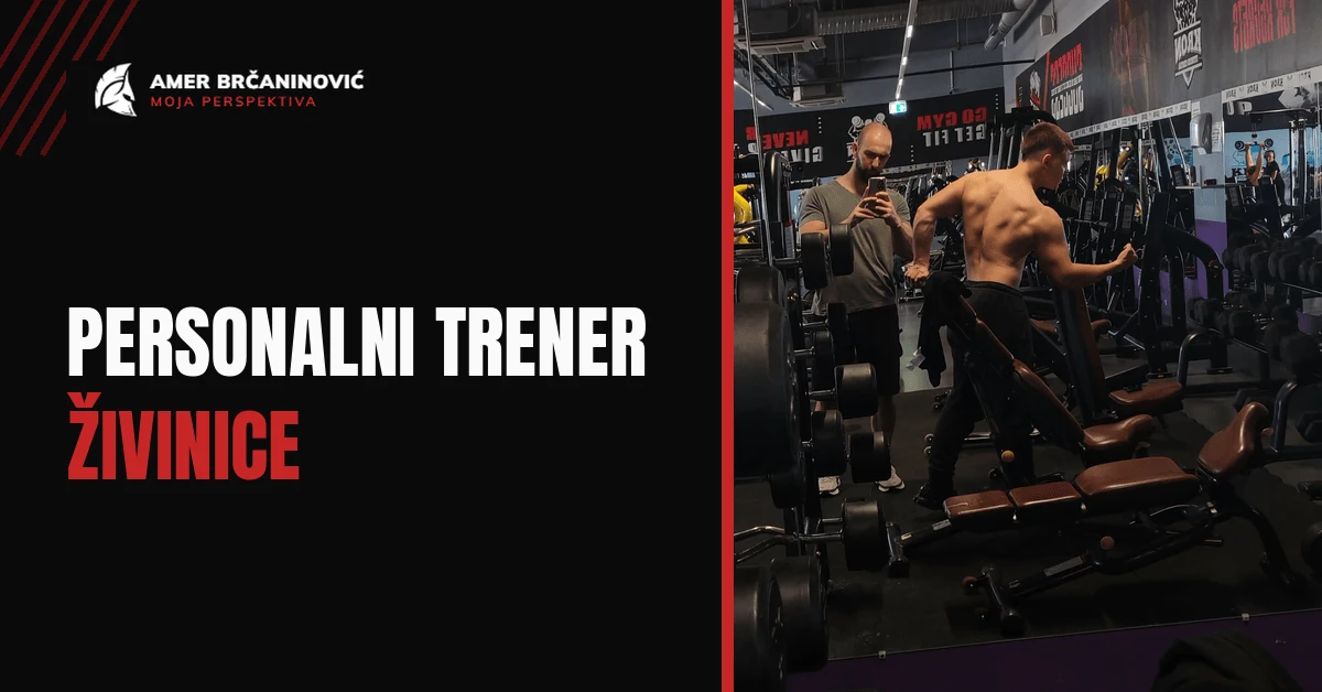 Personalni Trener Živinice, Trening u teretani