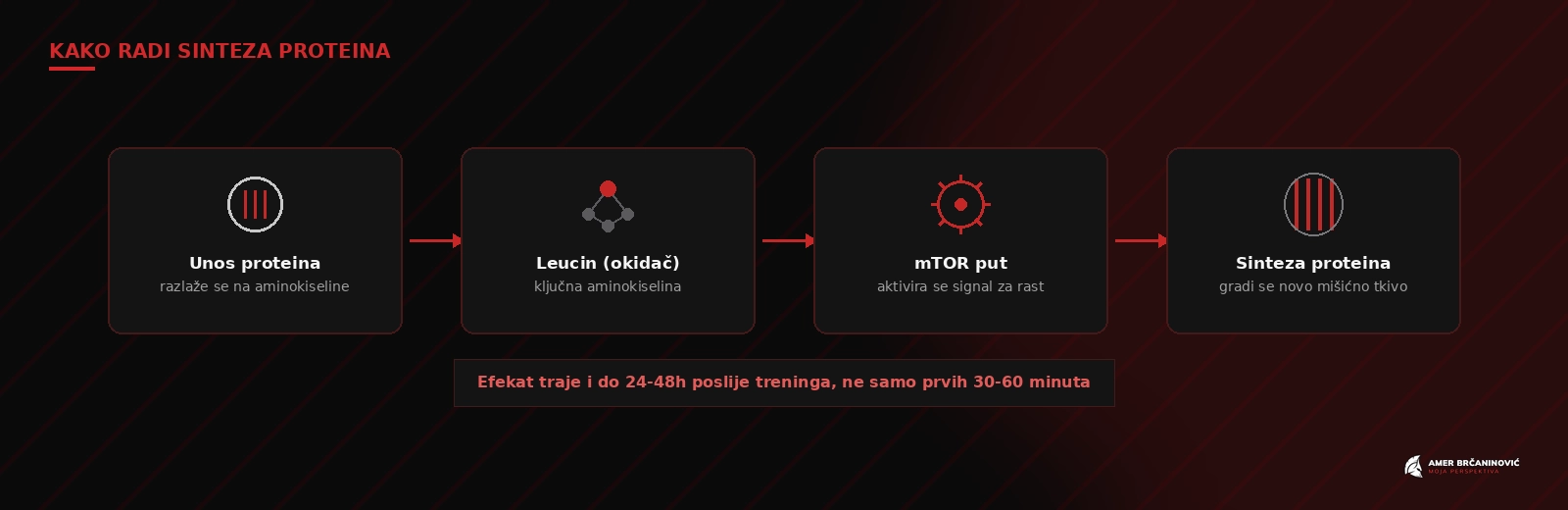 Šta jesti posle treninga i šta je sinteza proteina