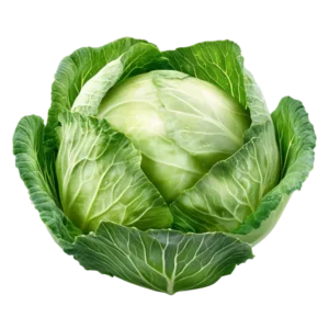 Kupus