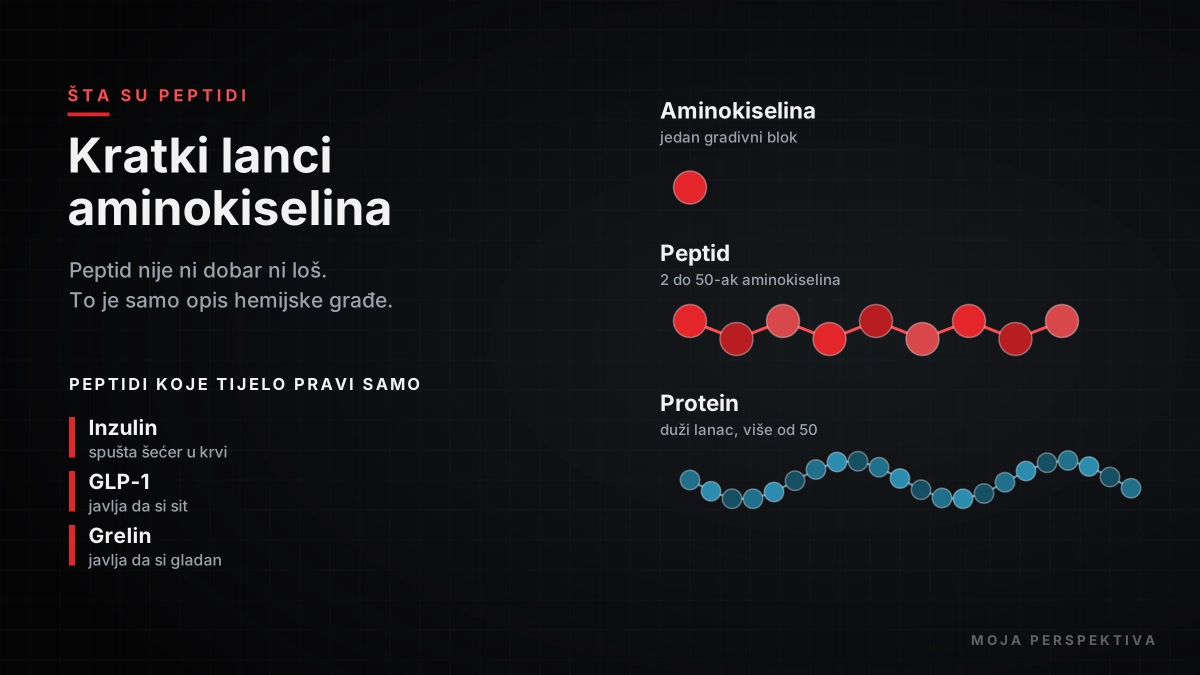 Šta su peptidi kratki lanci aminokiselina između aminokiseline i proteina